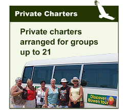 Private Whitsunday day tours