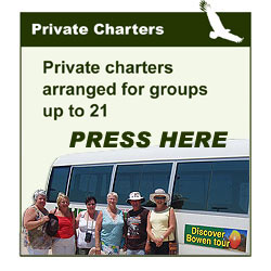 Mackay Airport Transfers 