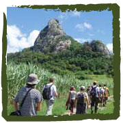 Whitsunday Bus Charters